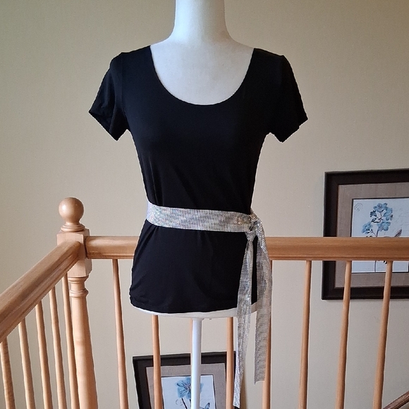 Multi Use Elegant Silver Scarf, Sash, Belt - Picture 2 of 4